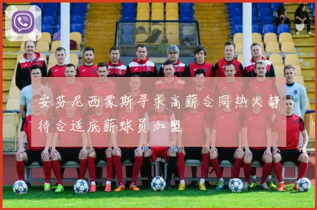 安芬尼西蒙斯寻求高薪合同热火静待合适底薪球员加盟