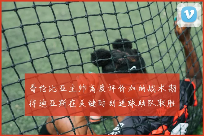 哥伦比亚主帅高度评价加纳战术期待迪亚斯在关键时刻进球助队取胜